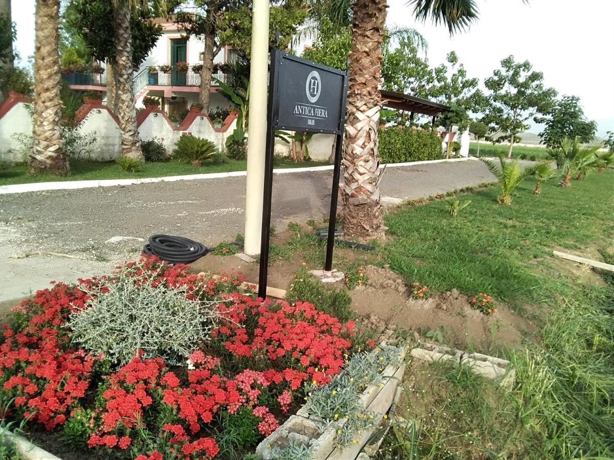 B&B Antica Hera Foce del Sele 外观 照片
